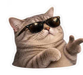 Cat in sunglasses