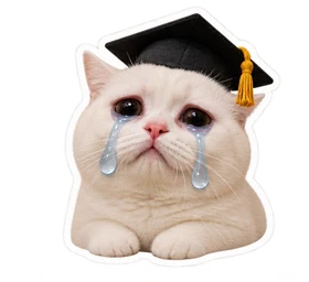 Crying graduate cat