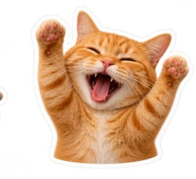 Celebrating cat